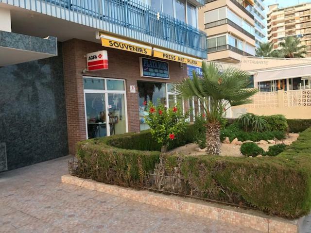 Benidorm 1ª Linea Playa Levante, Garage, Wifi, Climatizacion Eksteriør bilde